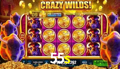 Ofertas Exclusivas 55s